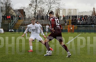 19.Spieltag BFC Dynamo - SV Babelsberg 03