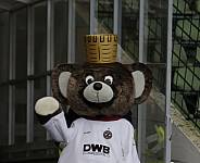 15.Spieltag BFC Dynamo - 1.FC Lokomotive Leipzig