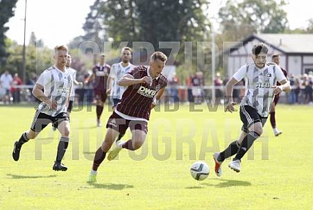 1.Runde AOK-Landespokal FC Concordia Wilhelmsruh 1895 - BFC Dynamo