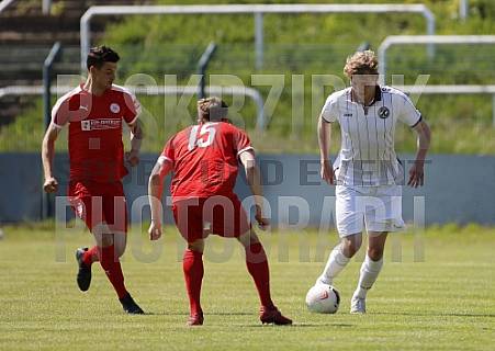 24.Spieltag BFC Dynamo U19 - Hallescher FC U19,