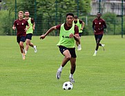 Training vom 19.06.2024 BFC Dynamo