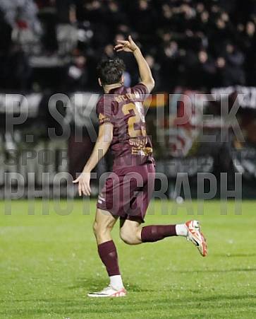 12.Spieltag BFC Dynamo - FC Viktoria 1889 Berlin