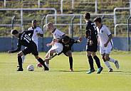 8.Spieltag BFC Dynamo U19 - FC Energie Cottbus U19 ,