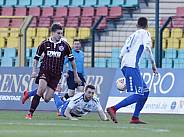 19.Spieltag BFC Dynamo - Bischofswerdaer FV08