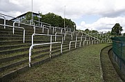 Subbotnik im Sportforum Berlin Stadion , Arbeitseinsatz