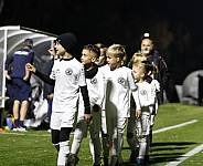 10.Spieltag BFC Dynamo - SV Babelsberg 03