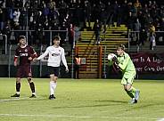 18.Spieltag BFC Dynamo - ZFC Meuselwitz,