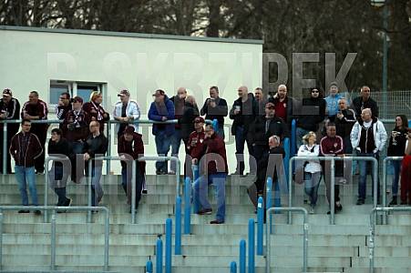 23.Spieltag TSG Neustrelitz - BFC Dynamo