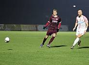 17.Spieltag BFC Dynamo - Lichtenberg 47,