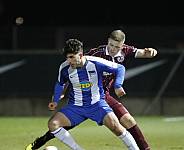 24.Spieltag Hertha BSC II - BFC Dynamo