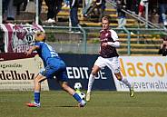 29. Spieltag BFC Dynamo - FC Hertha 03 Zehlendorf