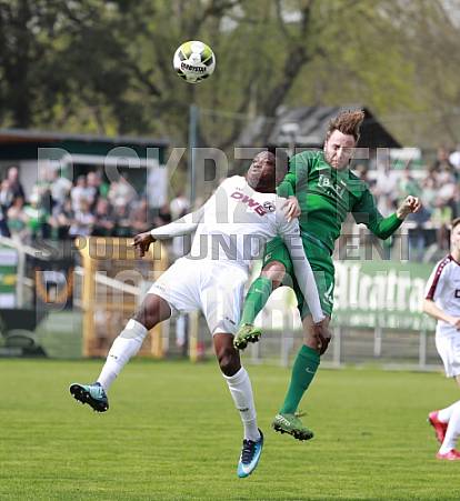 29.Spieltag BSG Chemie Leipzig - BFC Dynamo