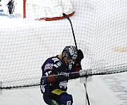 Eisbären Berlin - Fischtown Pinguins Bremerhaven