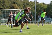 Training 09.09.2025 BFC Dynamo