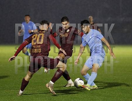 12.Spieltag BFC Dynamo - FC Viktoria 1889 Berlin