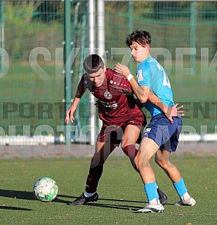 9.Spieltag BFC Dynamo U19 - Chemnitzer FC U19