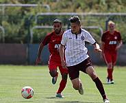 Testspiel BFC Dynamo - SV Sparta Lichtenberg