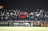 20.Spieltag BFC Dynamo - Chemnitzer FC,