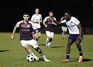24.Spieltag BFC Dynamo - Hertha BSC II