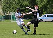 3.Spieltag BFC Preussen - BFC Dynamo,