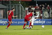 21.Spieltag ZFC Meuselwitz - BFC Dynamo