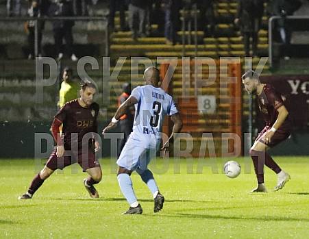 12.Spieltag BFC Dynamo - FC Viktoria 1889 Berlin