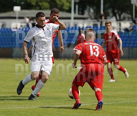 24.Spieltag BFC Dynamo U19 - Hallescher FC U19,