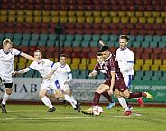 23.Spieltag BFC Dynamo - VSG Altglienicke