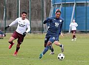 Testspiel BFC Dynamo - SV Babelsberg 03,