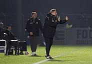 18.Spieltag BFC Dynamo - Hallescher FC