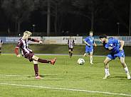 25.Spieltag SV Tasmania - BFC Dynamo,