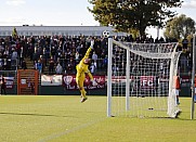 8.Spieltag BFC Dynamo - Chemnitzer FC,