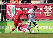 20.Spieltag ZFC Meuselwitz - BFC Dynamo