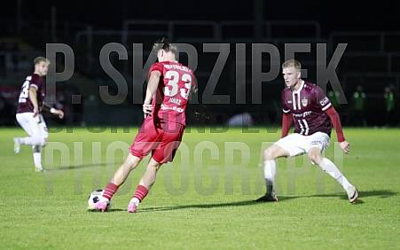 8.Spieltag BFC Dynamo - Greifswalder FC 8.Spieltag BFC Dynamo - Greifswalder FC