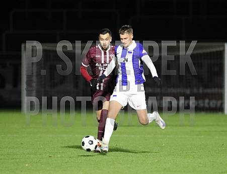 16.Spieltag BFC Dynamo -  Hertha BSC II