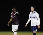 24.Spieltag BFC Dynamo - Hertha BSC II