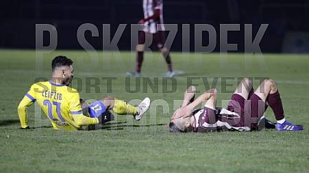 20.Spieltag BFC Dynamo - 1.FC Lokomotive Leipzig,