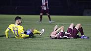 20.Spieltag BFC Dynamo - 1.FC Lokomotive Leipzig,