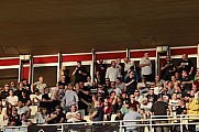 Halbfinale Berliner Pilsner-Pokal BFC Dynamo - Tennis Borussia Berlin