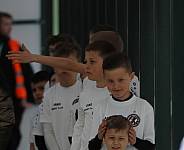 35.Spieltag BFC Dynamo - Tennis Borussia Berlin,