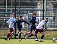 Testspiel BFC Dynamo - SV Babelsberg 03,