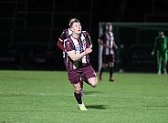 24.Spieltag BFC Dynamo - ZFC Meuselwitz,