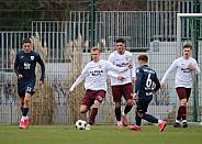 Testspiel BFC Dynamo - SV Babelsberg 03,