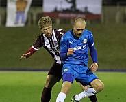 25.Spieltag SV Tasmania - BFC Dynamo,