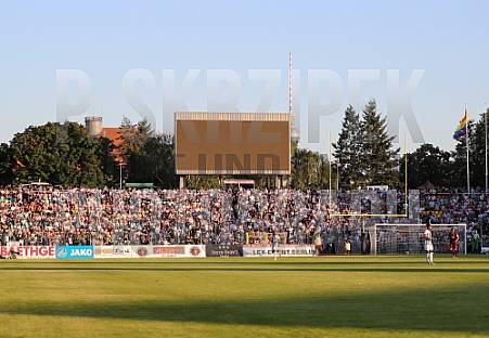 Testspiel BFC Dynamo - Hertha BSC