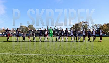 15.Spieltag BFC Dynamo - VfB Auerbach,