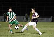 26. Spieltag BFC Dynamo - BSG Chemie Leipzig