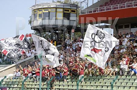 7.Spieltag BFC Dynamo - Hertha BSC II ,