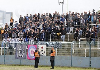 32.Spieltag BFC Dynamo - SV Babelsberg 03 ,