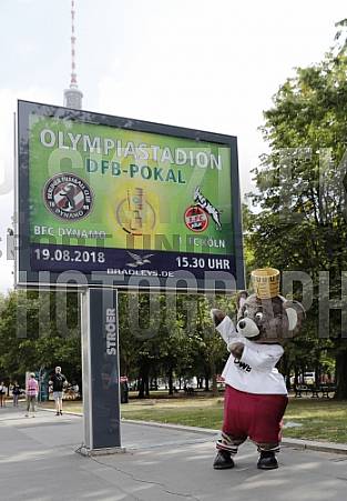 Werbung mit Teddy für die 1.Runde im DFB-Pokal